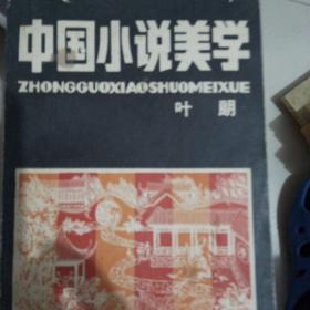 中国小说美学