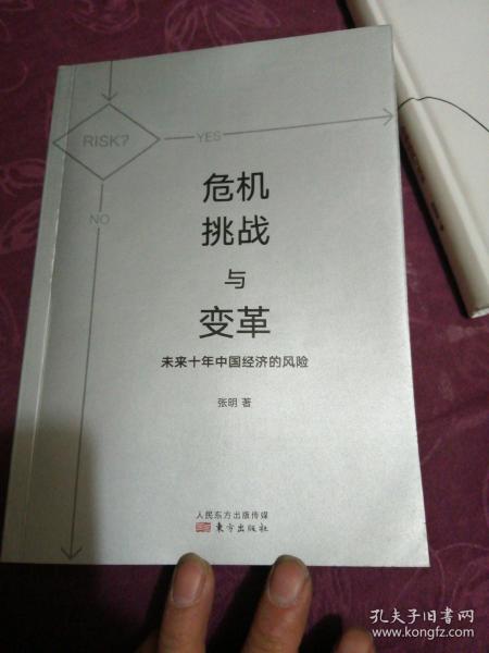 危机、挑战与变革：未来十年中国经济的风险