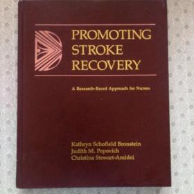 Promoting Stroke Recovery 英语原版精装