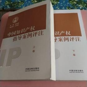 中国知识产权指导案例评注 上卷