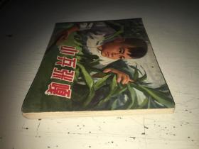 小兵张嘎