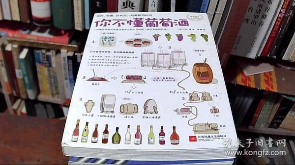 你不懂葡萄酒：有料、有趣、还有范儿的葡萄酒知识