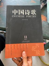 中国诗歌：芦花放.