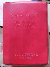 农村卫生工作队医疗手册：全书分17章，1卫生工作，2常见症状，3传染病，4内科病：肺炎、高血压、心脏病、胃炎、肾炎、甲亢、糖尿病、脑血管病、中毒、中暑、触电等，5婴幼儿疾病，6外科病：疖、痈、烧伤、冻伤、犬咬、毒蛇伤、乳癌等，7皮肤病，8计划生育，9产科病，10妇科病，11眼科病，12耳鼻喉病，13口腔病，14常用治疗技术和手术，15针灸疗法（附耳针疗法、梅花针）16中医基本知识，17常用药物。