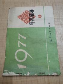 1977年，1，年画缩样