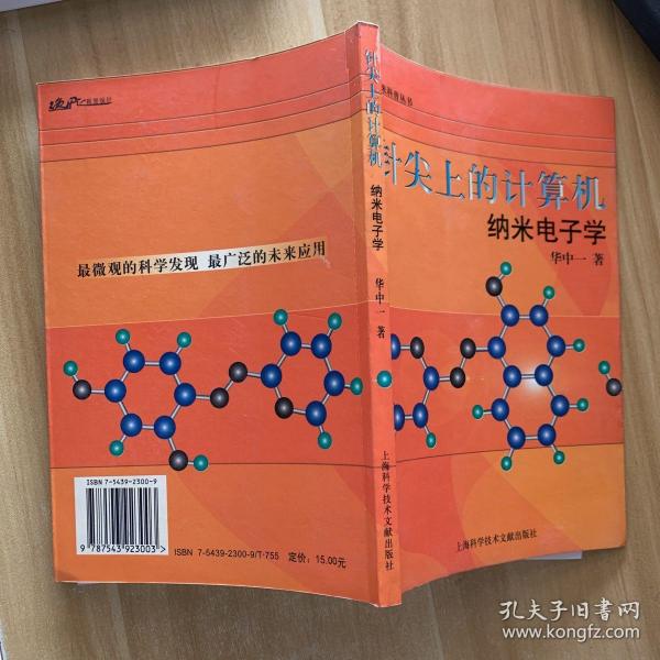 针尖上的计算机：纳米电子学