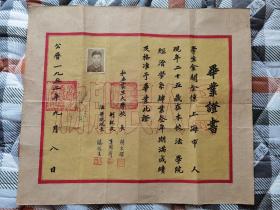 1952年私立震旦大学毕业证书