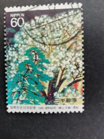 日本邮票·85年国际广播年1信