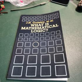 【进口原版】What Is Mathematical Logic