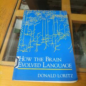 How the Brain Evolved Language