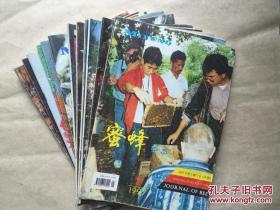 蜜蜂杂志1997年第1-----12册全【12本合售】
