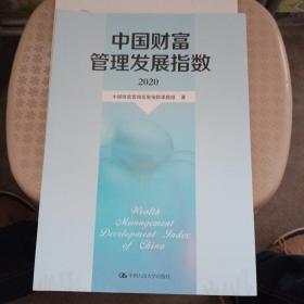 中国财富管理发展指数（2020）（品相好）