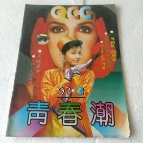 青春潮 1993   3