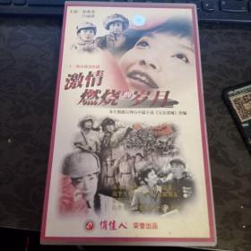激情燃烧的岁月VCD22张