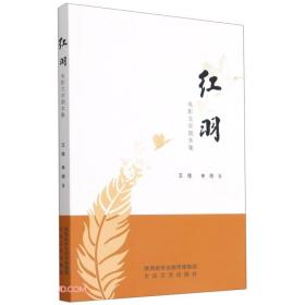 红羽(电影文学剧本集)