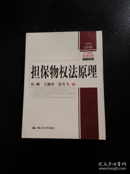 担保物权法原理/21世纪民商法学系列教材