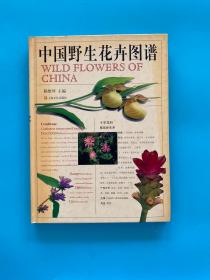 中国野生花卉图谱