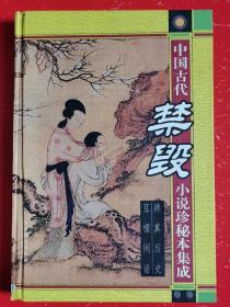 中国古代禁毁小说珍秘本集成《禅真后史》《豆棚闲话》