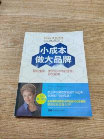 小成本做大品牌：我在宝洁、美赞臣20年的经验,你也能用