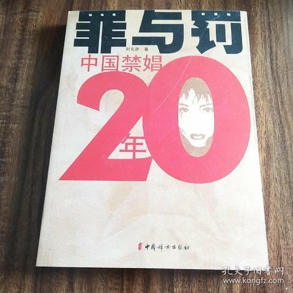 罪与罚：中国禁娼20年