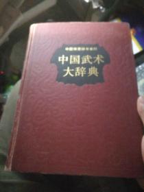 中国武术大辞典