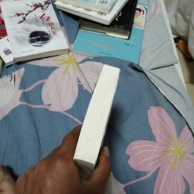 特工袋鼠.德嘉·索雷斯号之行