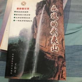 永远的武夷山 王长青