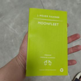 Moonfleet 慕里小镇