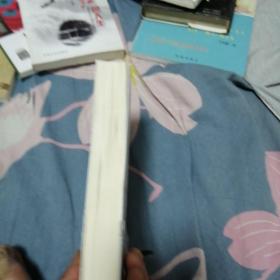 特工袋鼠.德嘉·索雷斯号之行