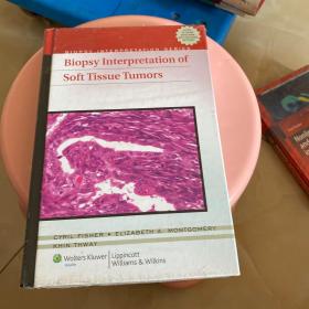 Biopsy Interpretation of Soft Tissue Tumors (Biopsy Interpretation Series)[软组织肿瘤活检释疑]