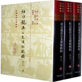 中国古典文学丛书：杜诗赵次公先后解辑校（共3册）