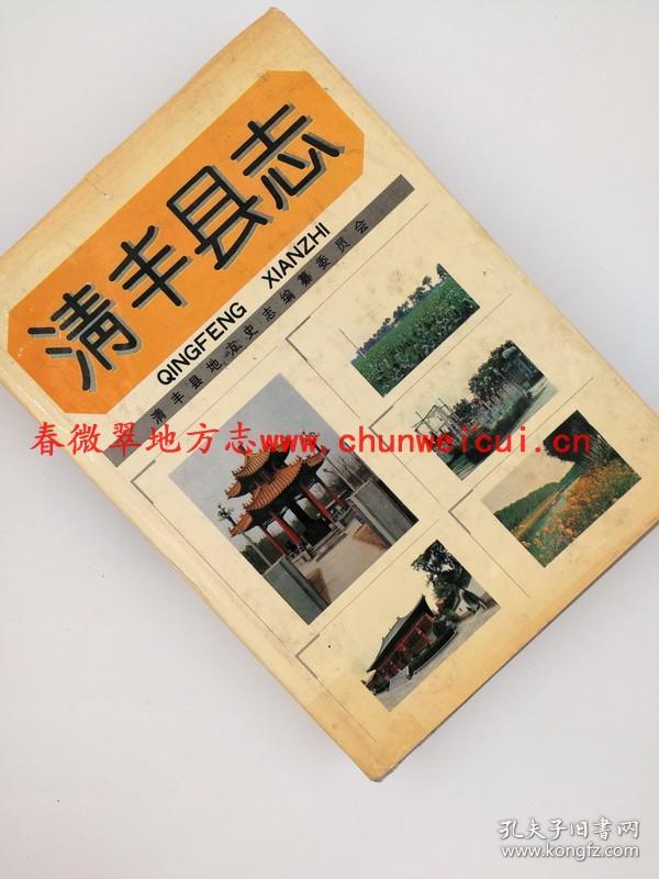 清丰县志 山东大学出版社 1990版 正版 现货