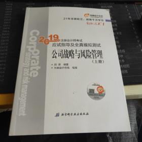 注会会计职称2019教材辅导东奥2019年轻松过关一《2019年注册会计师考试应试指导及全真模拟测试》公司战略与风险管理（上册）