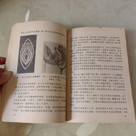 性崇拜