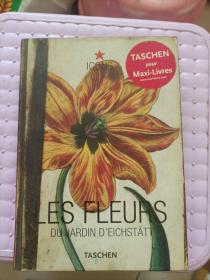 les fleurs