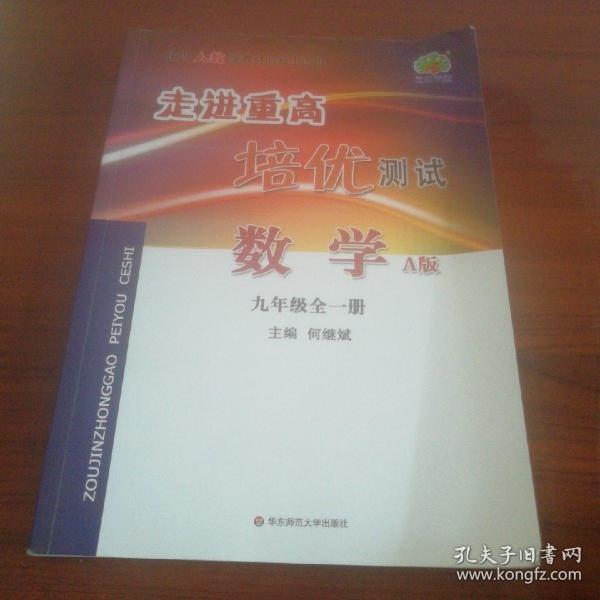 走进重高培优测试：数学（九年级全一册 A版 使用人教版教材的师生适用）