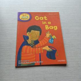 cat  ina Bag