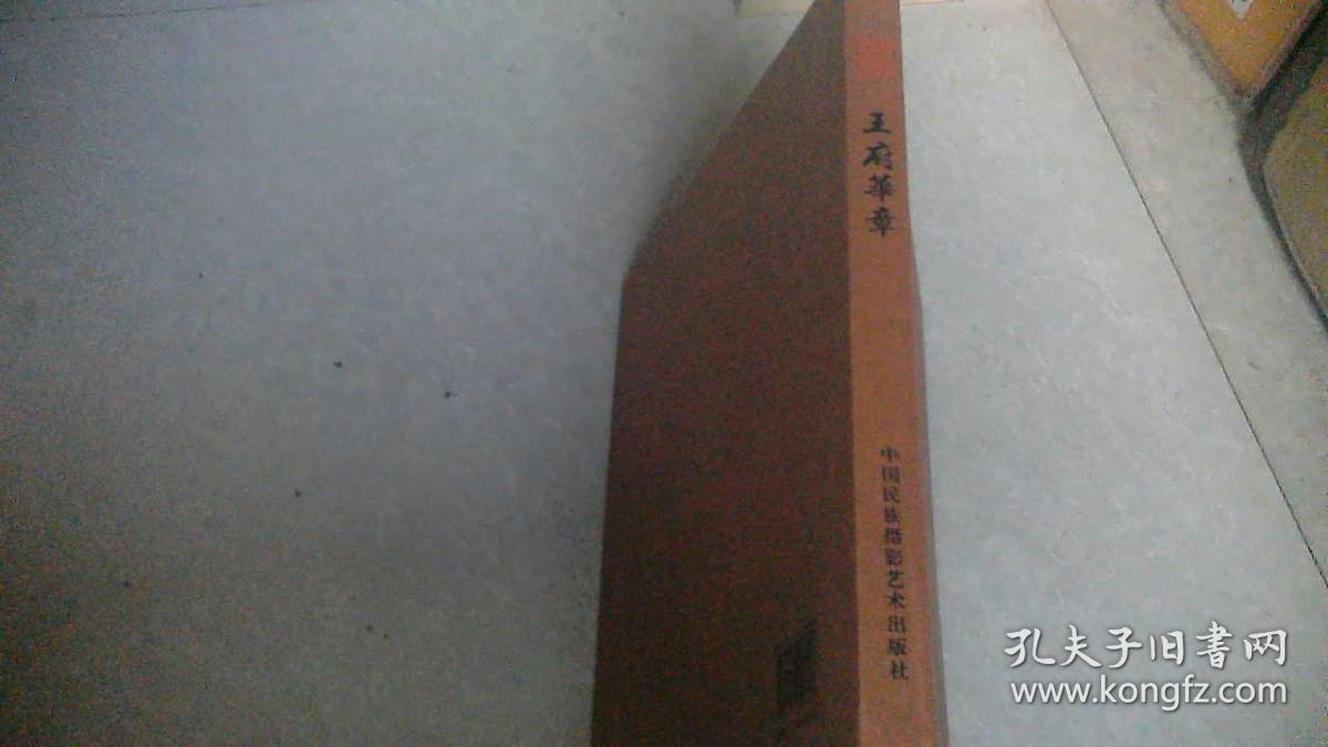 王府华章:2009年-2012年媒体报道