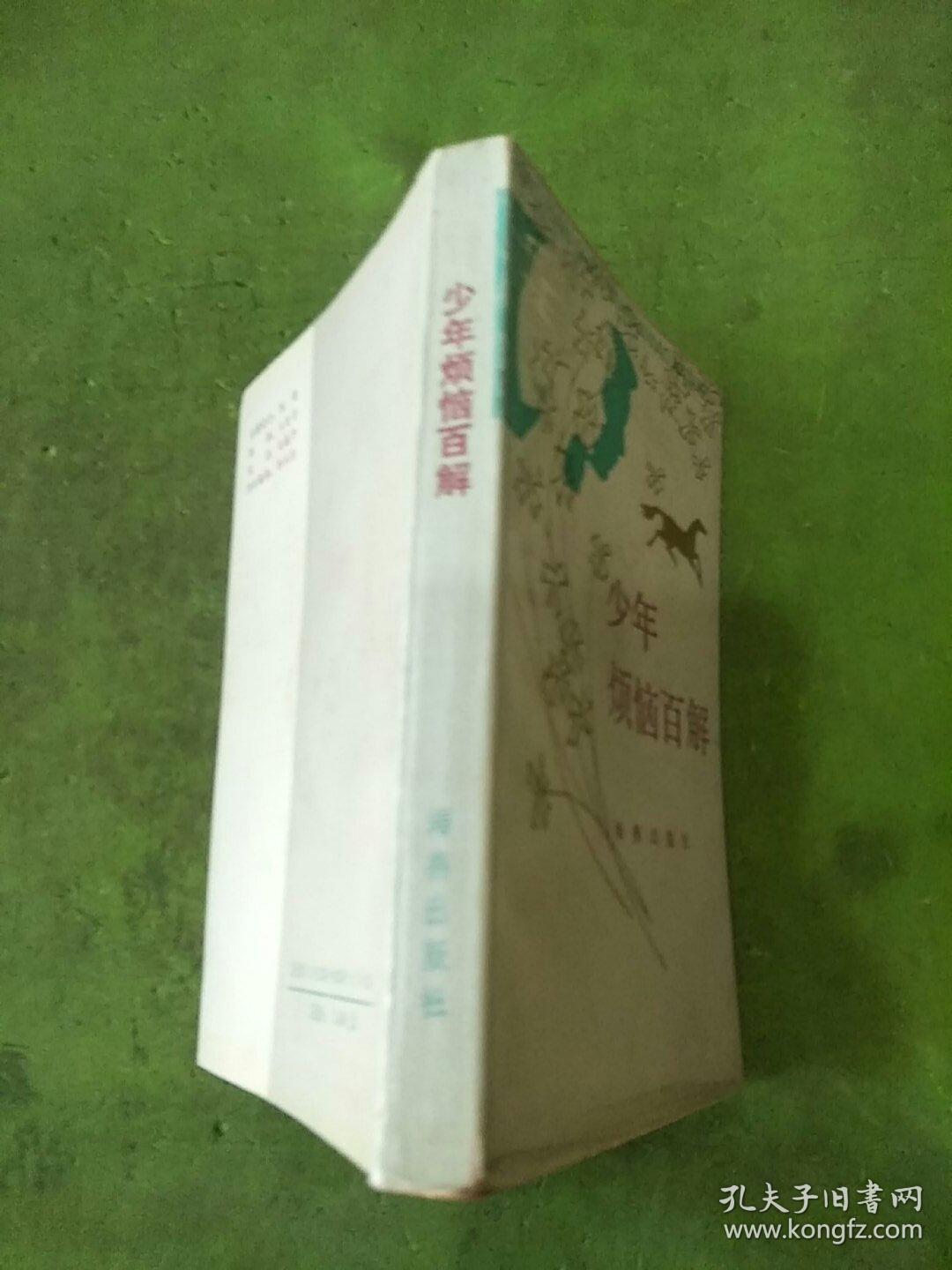 少年烦恼百解