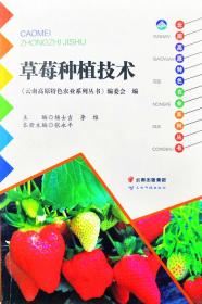 草莓种植技术/云南高原丛书