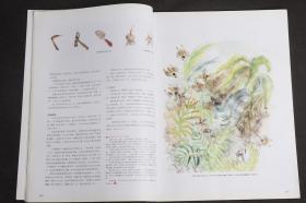 城市画报 2010年12月 总第269期 插画特刊 非常城画2