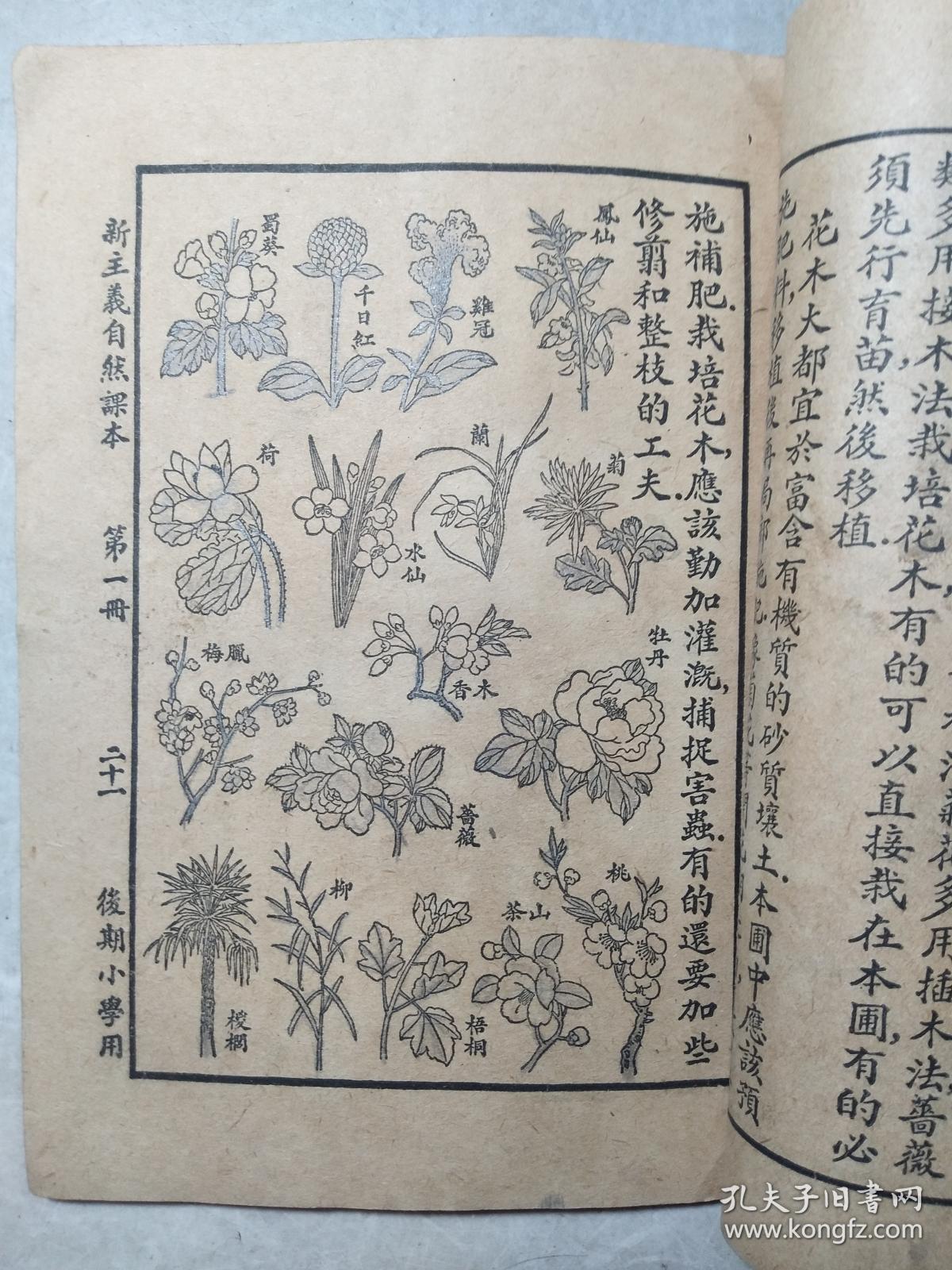 民国二十年《新主义自然课本》第一册