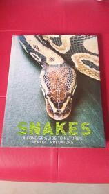 Snakes: A Concise Guide to Natures Perfect Predators 蛇：自然界完美捕食者的简明指南 01