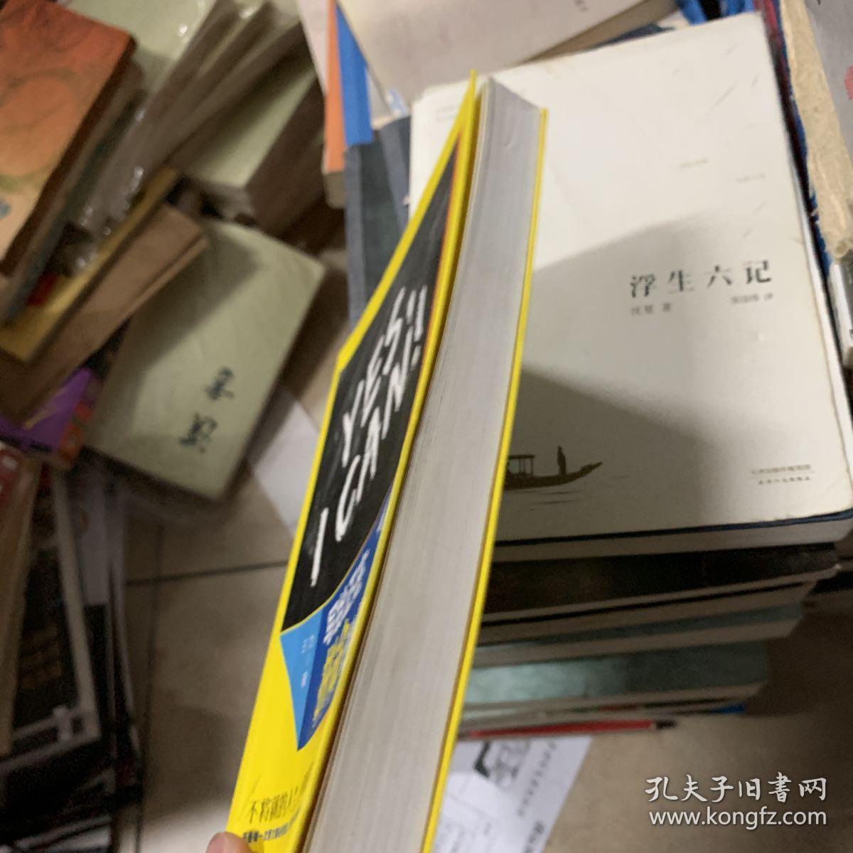 写给正在拼命的你：不将就的人生，虽败犹荣