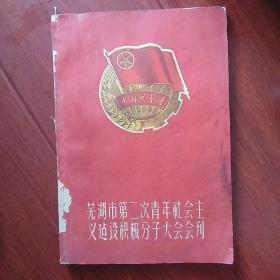 1959年芜湖市第二次青年社会主义建设积极分子大会会刊