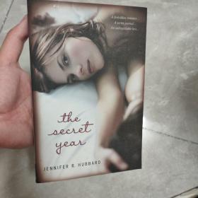 The Secret Year