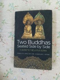 Two Buddhas Seated Side by Side A Guide to the Lotus Sutra