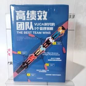 高绩效团队 VUCA时代的5个管理策略