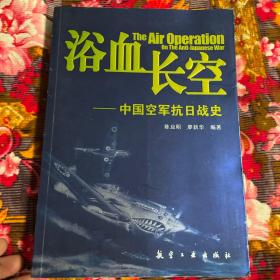 浴血长空：中国空军抗日战史