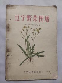 辽宁野菜图谱